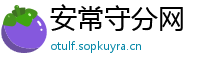 安常守分网